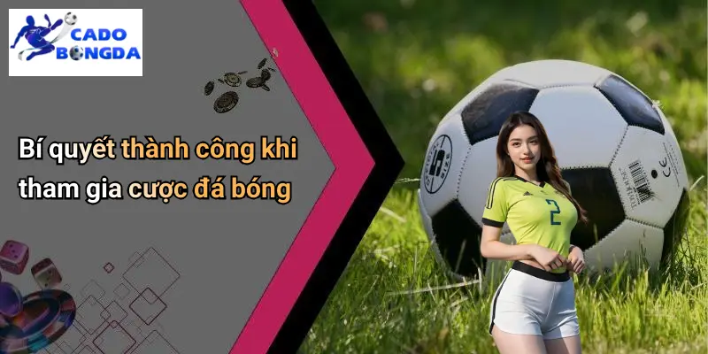 Cá Độ Bóng Đá