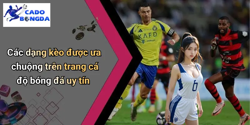 Cá Độ Bóng Đá