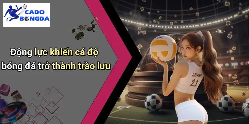 Tin Tức Bóng Đá