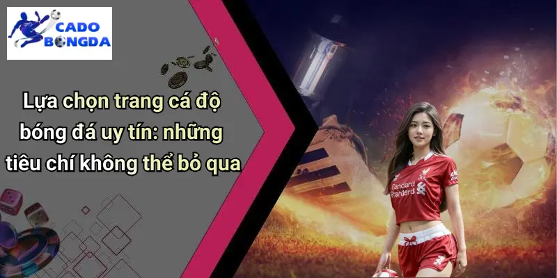 Cá Độ Bóng Đá