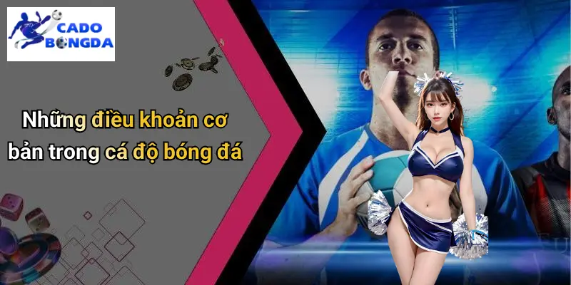 Điều Khoản Điều Kiện