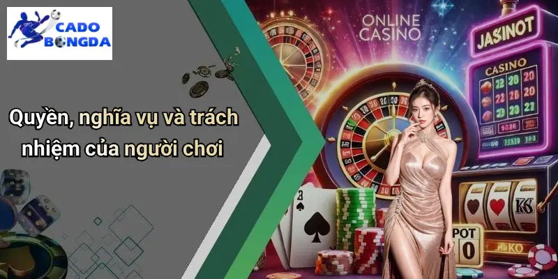 Điều Khoản Điều Kiện