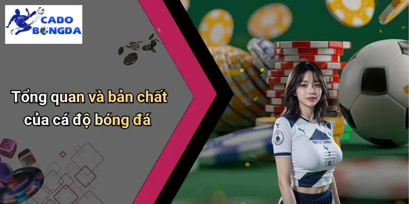 Cá Độ Bóng Đá