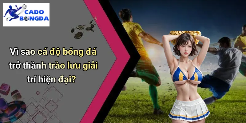 Cá Độ Bóng Đá