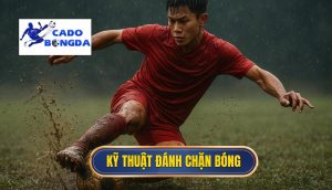 Kỹ thuật đánh chặn bóng