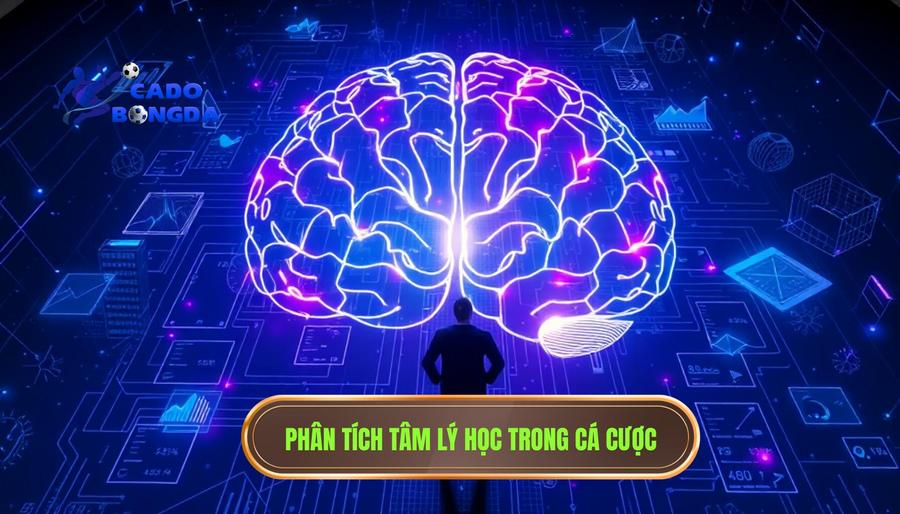 Phân tích đa chiều về tâm lý học trong cá cược