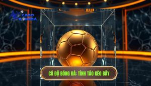 Kèo đẹp đôi khi là cái bẫy