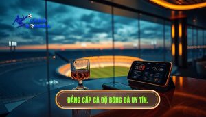 cược bóng đá không dành cho người vội vàng