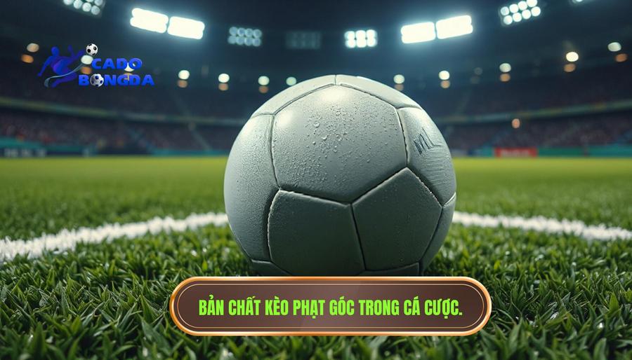 Hiểu Rõ Về Bản Chất Của Kèo Phạt Góc