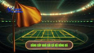 Kèo góc và kèo chính khác gì nhau? Phân tích chuyên sâu cho người mới